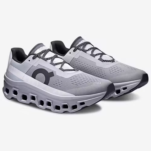 On Cloudmonster | Alloy/Silver
